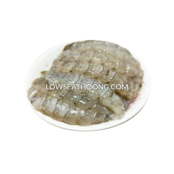 Mantis Shrimp (L) ±500g/pkt